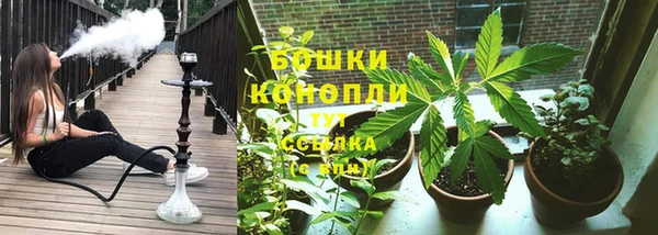 spice Балахна