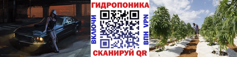 Марихуана OG Kush  MEGA tor  Тара 
